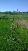 WP_20140421_054