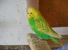 DSCN3256
