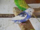 DSCN3257
