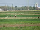 DSC01865