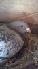 WP_20140421_025
