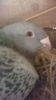 WP_20140421_026