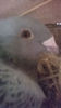 WP_20140421_028