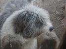DSCN1085