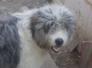 DSCN1086
