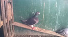 WP_20140421_061