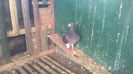 WP_20140421_062