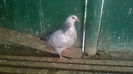 WP_20140421_063