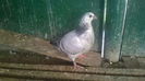 WP_20140421_064