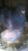 WP_20140421_069