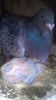 WP_20140421_070