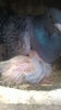 WP_20140421_071