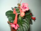 DSC07907