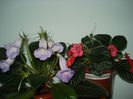 DSC07908