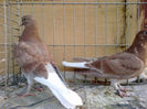 2014-04-20-261