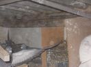 DSCN1054