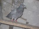 DSCN1055