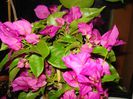 DSC07880
