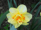 DSCN1244_028