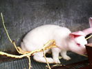 IMG_20140422_105054