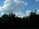 DSCN7005