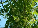 DSCN7014
