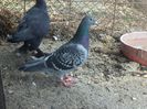 20140421_161822