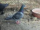 20140421_161823