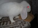 DSCN2759