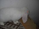 DSCN2766