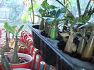 IMG_20140422_142446