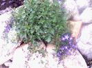 PICT0179