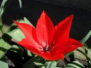 SAM_5422