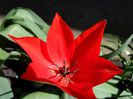 SAM_5423