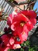 SAM_5431