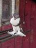 PICT0001