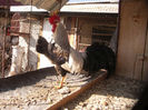 PICT0012