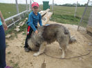 DSCN1345