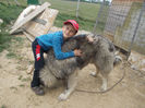 DSCN1346
