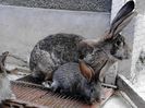 IMG_20140422_175438