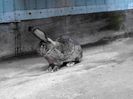 IMG_20140422_175430