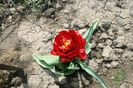 22.04.2014 167