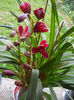 DSCN1281_025