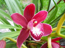 DSCN1283_027