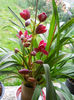 DSCN1284_028