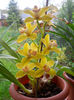 DSCN1285_029
