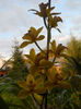 DSCN1288_031