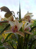 DSCN1290_033