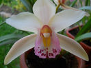 DSCN1291_034