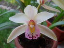 DSCN1292_035